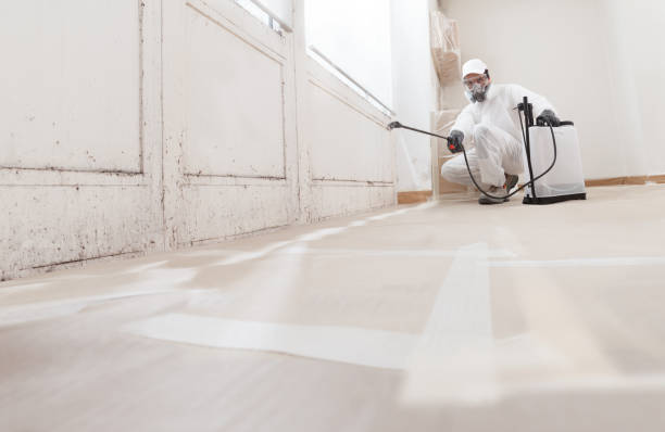 24/7 Emergency Crawl Space Mold Removal experts in New Hope, PA