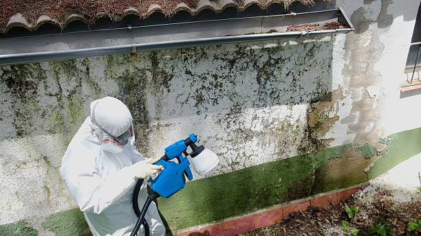 Trusted Crawl Space Mold Removal service in New Hope, PA - Cheap Mold Removal
